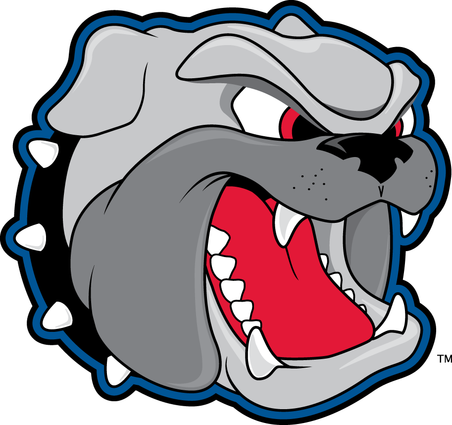 North Carolina Asheville Bulldogs 1998-Pres Secondary Logo iron on transfers for clothing